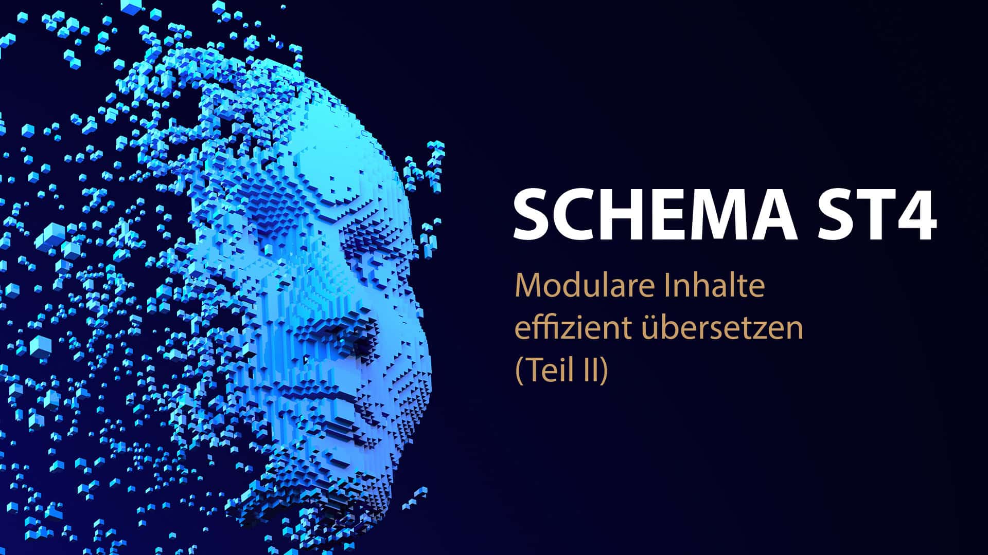 Wie kann ein effizienter Übersetzungsworkflow für Inhalte aus SCHEMA ST4 konkret aussiehen?